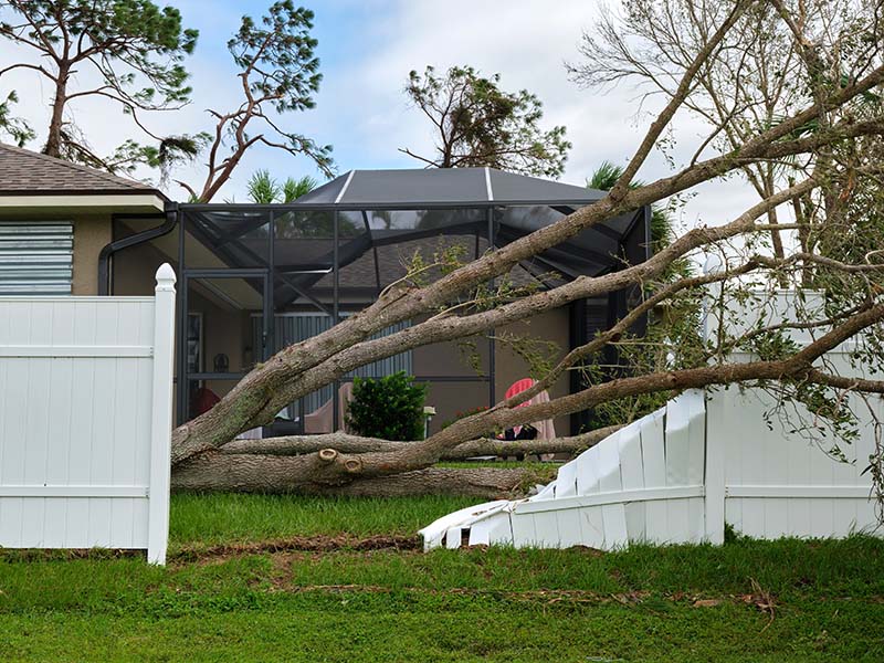 Debris Removal in Flat Rock Alabama