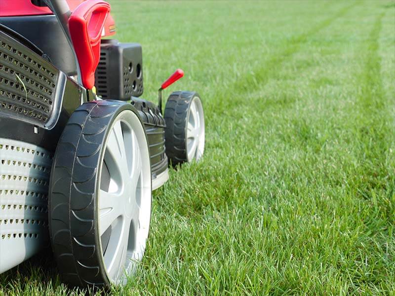 Lawn Care in Flat Rock Alabama