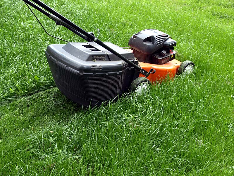 Lawn Mowing in Flat Rock Alabama