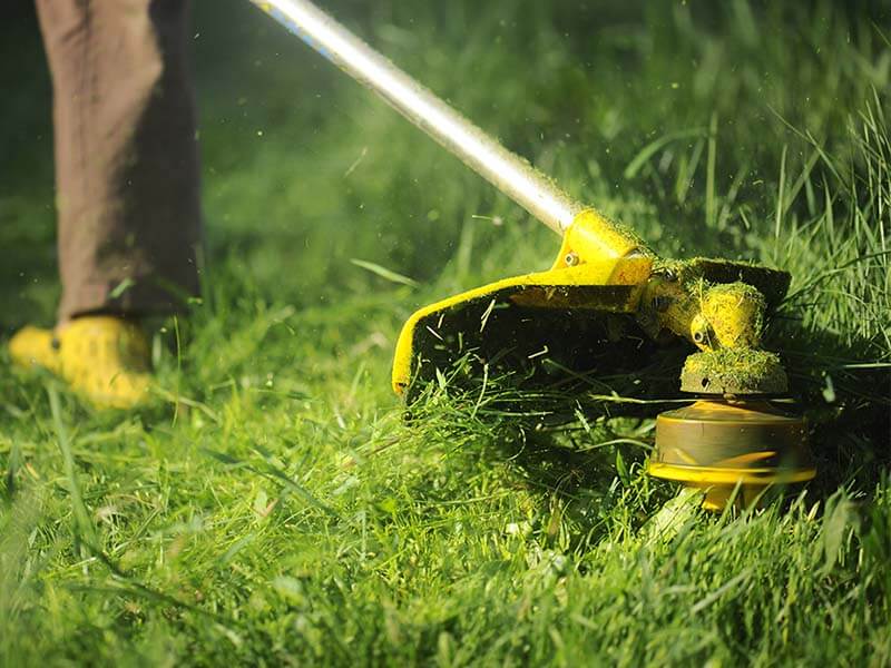 Lawn Weed Eating in Flat Rock Alabama